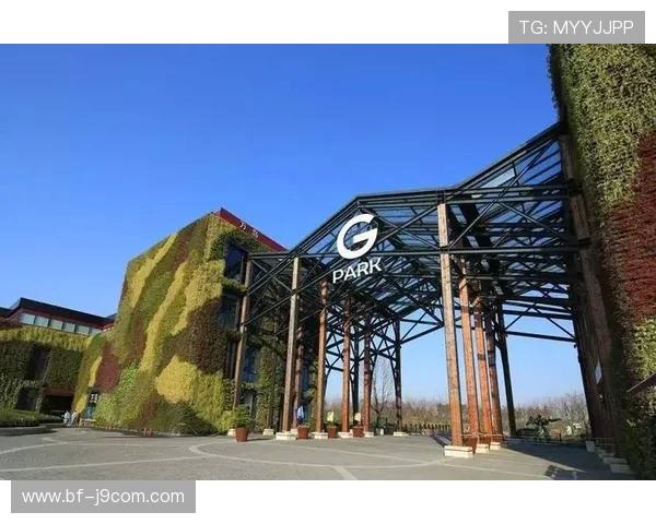 围绕济南现货足球满折市场趋势的深度发展观察与消费指南全景解读 围绕济南现货足球满折市场趋势的深度发展观察与消费指南全景解读